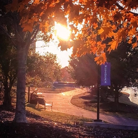 Red leaves bloom on a tree during the fall on MGA's Macon Campus.